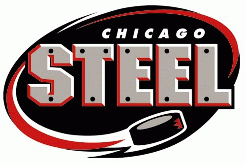 Chicago Steel 2000 01-Pres Primary Logo iron on paper